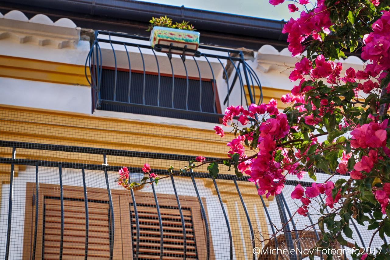 La Casa Di Ivana San Nicola Arcella Exterior photo